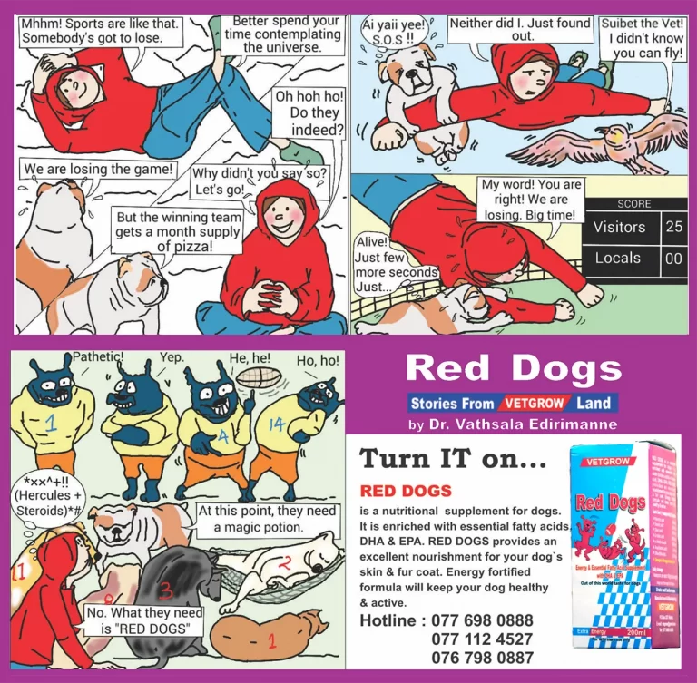 Red Dogs